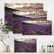 Designart - Lavender Field At Dawn I - Farmhouse Canvas Wall Art Print
